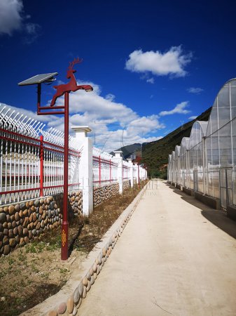 甘孜州白玉縣苗木基地項目